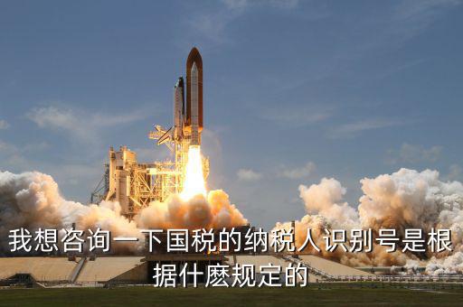 我想咨詢一下國稅的納稅人識別號是根據什麼規(guī)定的