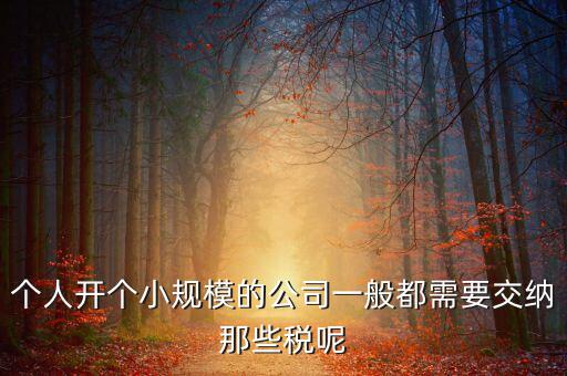 個人開辦水廠需要什么稅，自來水公司的水廠要交房產(chǎn)稅和土地使用稅嗎