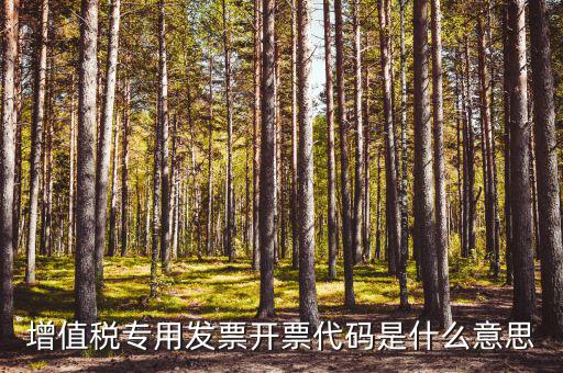 開票人代碼是什么，開票人代碼是什么