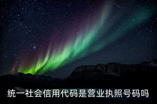 18位統(tǒng)一社會(huì)信用代碼是什么，社會(huì)統(tǒng)一信用代碼是什么怎么才能弄到求解說(shuō)有給我一個(gè)