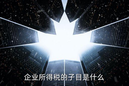企業(yè)所得稅征收品目是什么，征收品目是什么