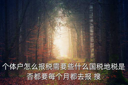 個體戶報稅都報什么，個體戶怎么報稅需要些什么國稅地稅是否都要每個月都去報 搜