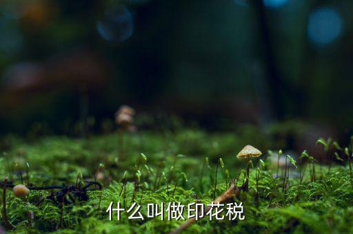 銀行印花稅是什么，什么叫做印花稅