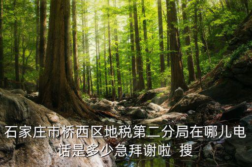 地稅二分局是做什么的，地稅科查局是做什么的