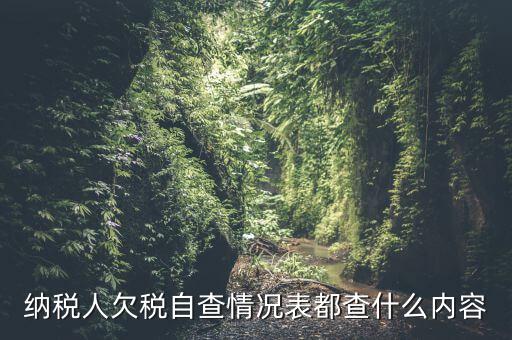 重點(diǎn)納稅人走訪情況表是什么，納稅人自查情況說明表里各項(xiàng)都填什么