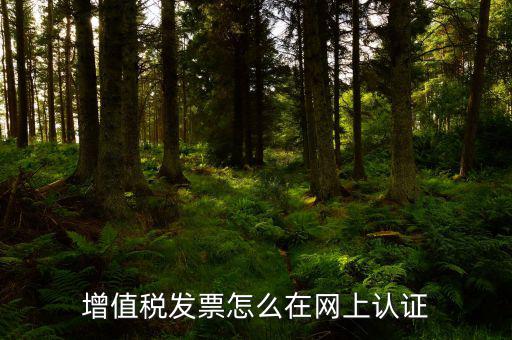 發(fā)票認(rèn)證需要什么軟件下載，國稅發(fā)票認(rèn)證需要準(zhǔn)備那些資料 到大廳辦的時(shí)候工作人員叫我拿U盤