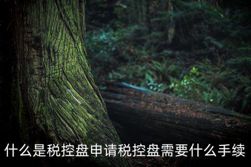 稅控盤制證是什么，去稅務(wù)局辦理稅控盤需要什么資料流程怎么走呢