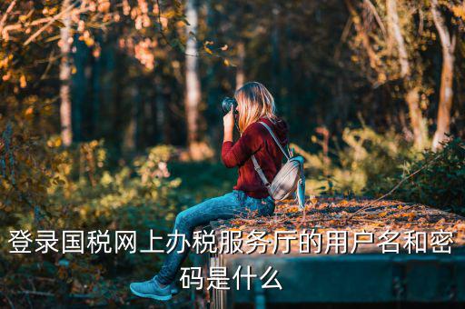 陜西電子稅務(wù)局登錄賬號是什么，登錄國稅網(wǎng)上辦稅服務(wù)廳的用戶名和密碼是什么