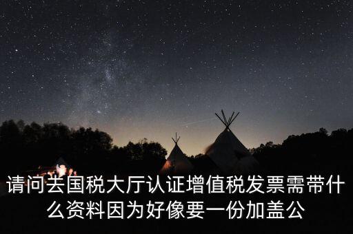 請(qǐng)問去國(guó)稅大廳認(rèn)證增值稅發(fā)票需帶什么資料因?yàn)楹孟褚环菁由w公