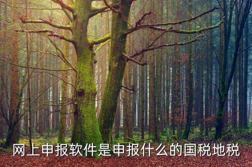 國稅微信申報什么意思，國稅網(wǎng)上申報怎么回事