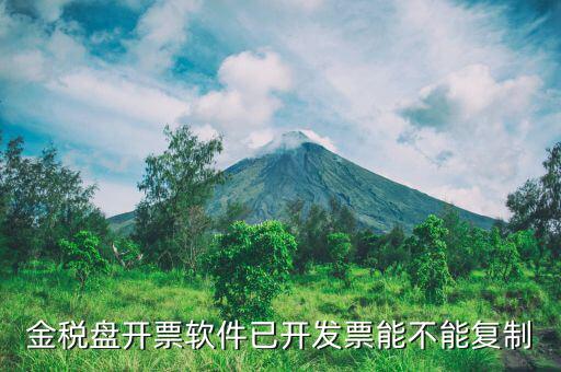 什么發(fā)票能進(jìn)行復(fù)制發(fā)票操作，如何將Excel中制作的發(fā)票專業(yè)發(fā)票復(fù)制到Word文檔中并且格式