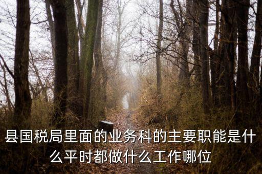什么是稅政工作，縣國(guó)稅局里面的業(yè)務(wù)科的主要職能是什么平時(shí)都做什么工作哪位