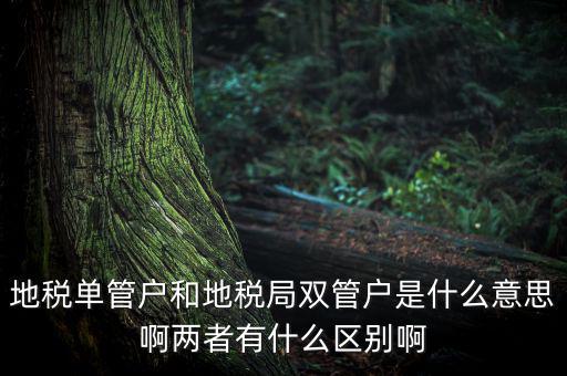 單管戶什么意思，地稅單管戶除了飲食行業(yè)外還有哪幾個(gè)行業(yè)