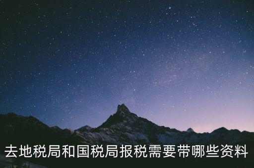 到國稅報稅需要什么，去地稅局和國稅局報稅需要帶哪些資料