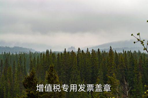 增值稅專(zhuān)用發(fā)票蓋章