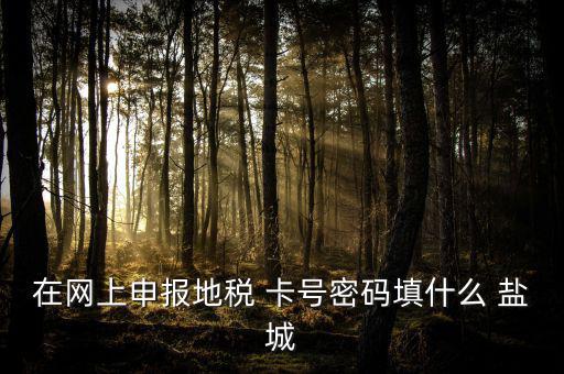 微信申報地稅的密碼是什么，地稅申報的用戶名和密碼是什么