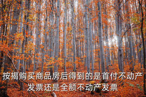 什么是全額不動產(chǎn)發(fā)票，想問一下購房全額發(fā)票到底是什么的侯才開是在交房的時侯還是辦