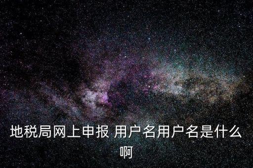 地稅局網(wǎng)上申報(bào) 用戶(hù)名用戶(hù)名是什么啊