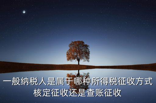 一般納稅人屬于什么，什么是一般納稅人