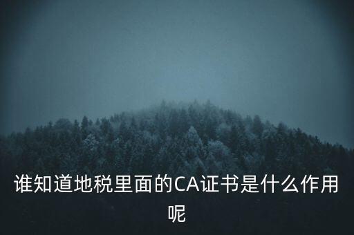 地稅的ca證書是什么，什么是聯(lián)通ca證書地稅ca證書