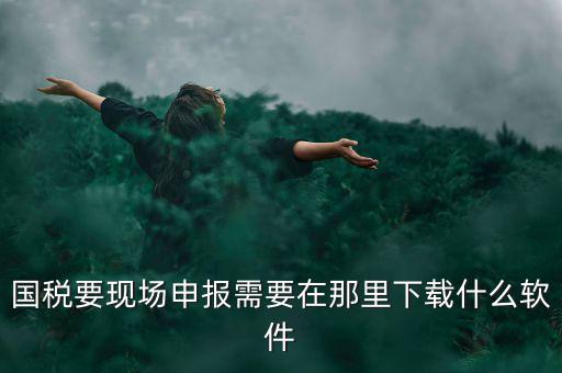 國稅要現(xiàn)場申報(bào)需要在那里下載什么軟件