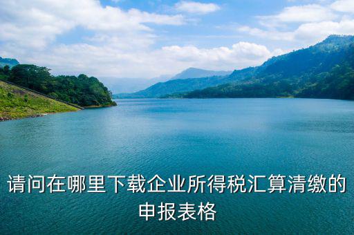 所得稅匯算清繳用什么軟件申報(bào)，國(guó)稅 企業(yè)所得稅匯算清繳在哪里申報(bào)要下載協(xié)同軟件嗎還是直接