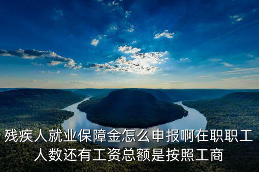殘疾保證金什么申報(bào)，殘疾人就業(yè)保障金怎么申報(bào)啊在職職工人數(shù)還有工資總額是按照工商
