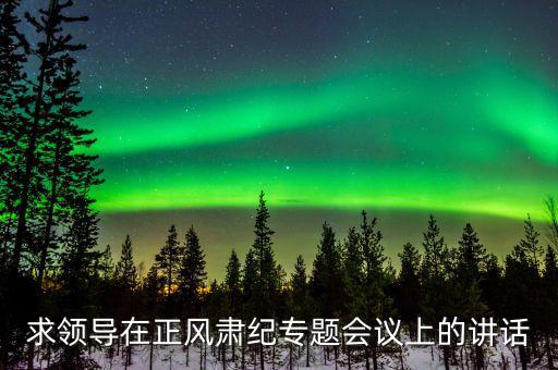 正風(fēng)肅紀(jì)講話什么意思，求領(lǐng)導(dǎo)在正風(fēng)肅紀(jì)專題會(huì)議上的講話
