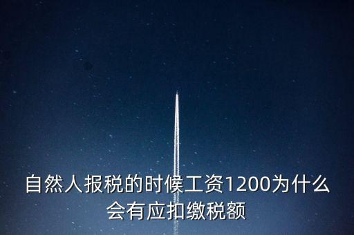 自然人報(bào)稅為什么，自然人辦稅服務(wù)平臺實(shí)名注冊的目的是什么