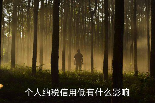 納稅信用記錄是什么，金稅三期納稅信用管理是什么意思