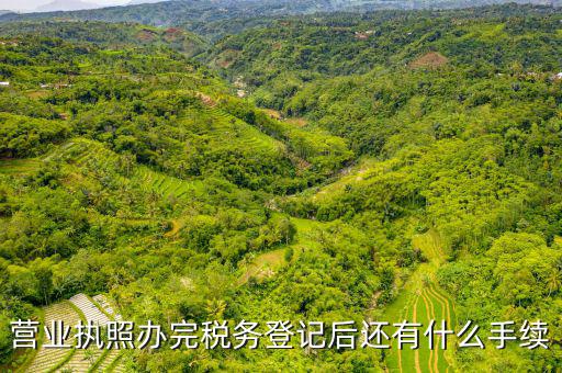 稅務(wù)登記以后需要什么，公司設(shè)立后辦理稅務(wù)登記要準(zhǔn)備哪些資料