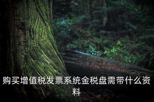 購(gòu)買(mǎi)增值稅發(fā)票系統(tǒng)金稅盤(pán)需帶什么資料