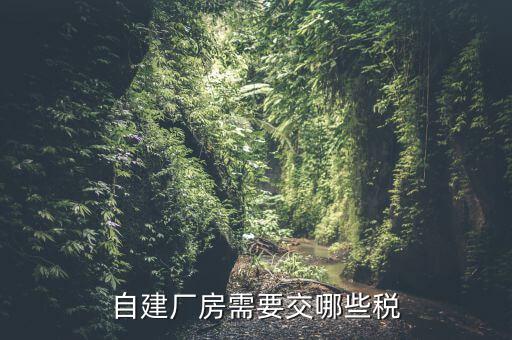 建廠房需要交什么稅，自建廠房需要交哪些稅