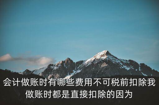 什么不可以稅前扣除嗎，納稅人哪些支出不能在企業(yè)所得稅前扣除