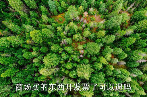 發(fā)票什么情況可以退回，商場買的東西開發(fā)票了可以退嗎