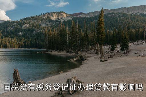 國稅未實(shí)名會影響什么，稅務(wù)未實(shí)名認(rèn)證對負(fù)責(zé)人有影響么