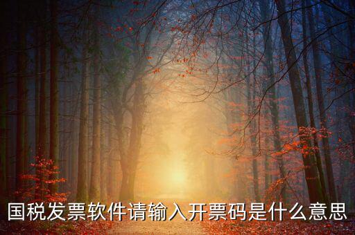 開票二維碼是什么軟件，天津國稅通用機打發(fā)票二維碼包含的內(nèi)容解碼軟件