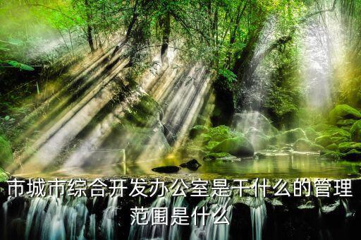 市通發(fā)辦是什么，市兩辦指什么