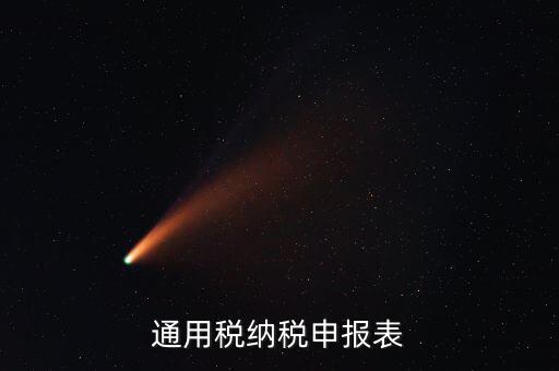 通用申報表稅什么意思，通用稅納稅申報表