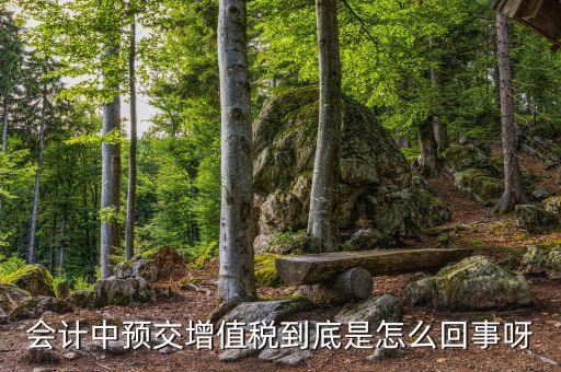 增值稅為什么要預(yù)繳，輔導(dǎo)期增購(gòu)增值稅發(fā)票為什么要預(yù)繳