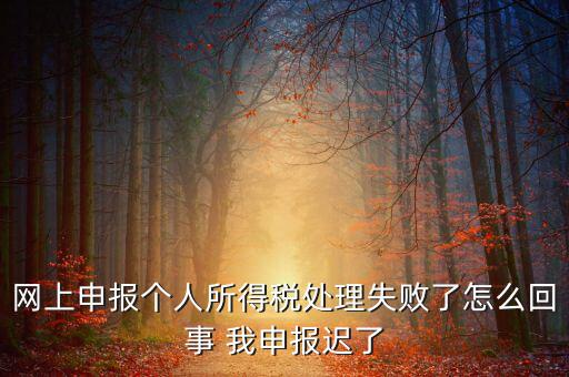 稅款處理失敗什么意思，扣繳稅款失敗提示銀財(cái)通處理失敗FAPP00444要怎樣處理才可以扣款