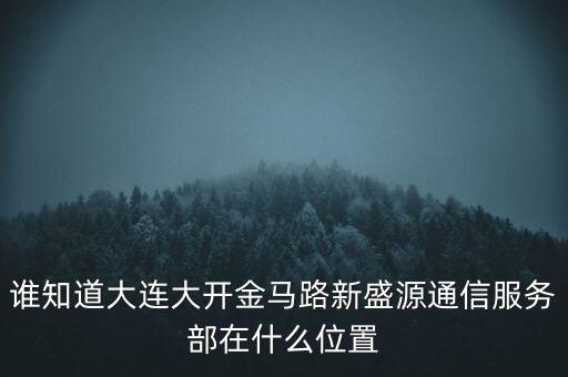 信息服務(wù)部可以叫什么地方，誰(shuí)知道大連大開(kāi)金馬路新盛源通信服務(wù)部在什么位置