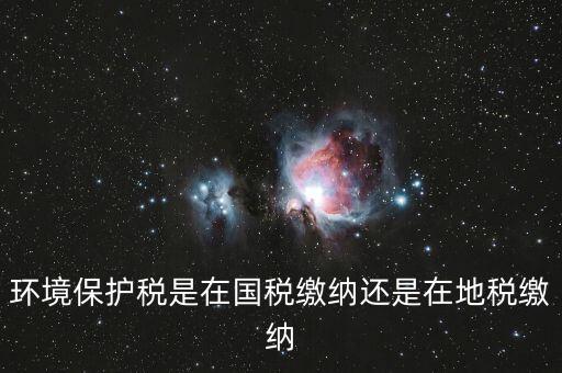 什么是環(huán)境保護稅納稅人，環(huán)境稅是什么意思