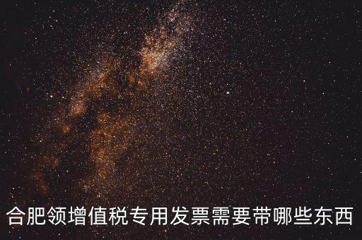 合肥領(lǐng)增值稅專(zhuān)用發(fā)票需要帶哪些東西