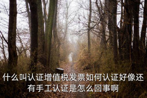 什么叫發(fā)票認證，什么叫認證增值稅發(fā)票如何認證好像還有手工認證是怎么回事啊