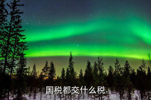國(guó)稅稅費(fèi)是什么，國(guó)稅都交什么稅