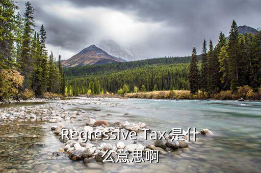什么是稅收穿透，passthrough taxation是什么意思是直接繳稅嘛