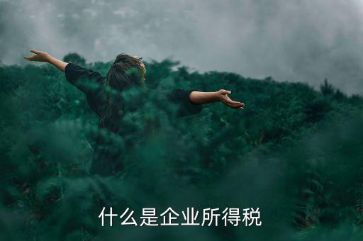 什么是企業(yè)所得稅率，什么是企業(yè)所得稅