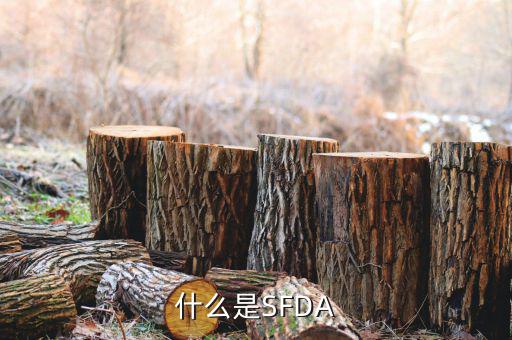 金稅是什么，什么是金關(guān)金橋金卡金稅