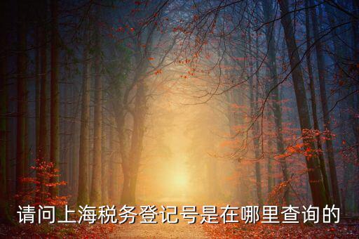 上海的稅務賬號是什么，請問上海稅務登記號是在哪里查詢的